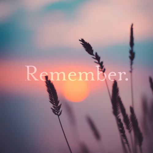 An image of the sun at sunset with some reeds in front of the sun. The sun and sky is out of focus, as are some of the reeds in the background, and the sun is looking quite pink. The word 'Remember.' is displayed at the centre of the image in a serif font in white, but is slightly faded out over the image and is also a little distressed around the edges.